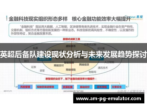 英超后备队建设现状分析与未来发展趋势探讨