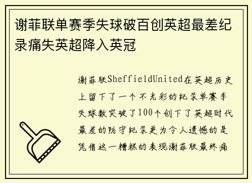 谢菲联单赛季失球破百创英超最差纪录痛失英超降入英冠